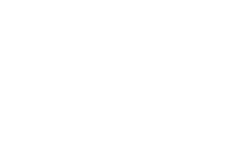VB Software